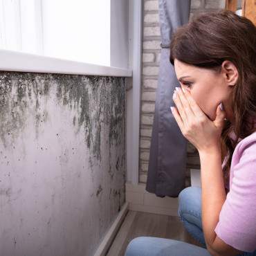 Mould Alert: What Every QLD Homeowner Needs to Know Post-Cyclone