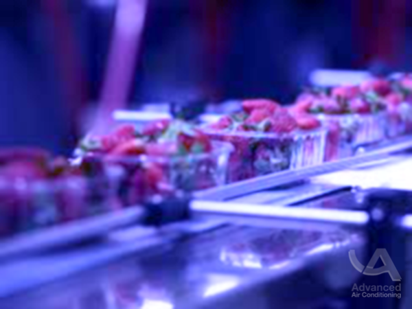 UV_Food Production | Brisbane